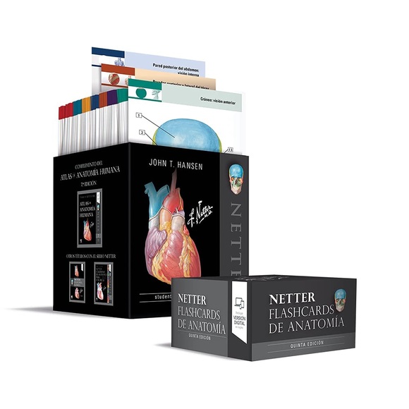netter Media Netters Anatomy Flash Cards 5th Edition Poshmark